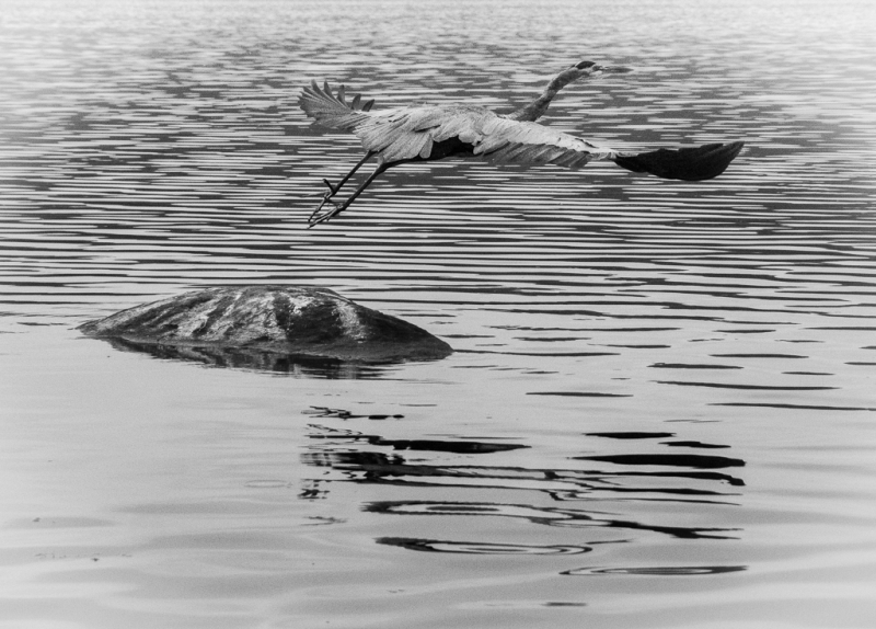 untitled-6632