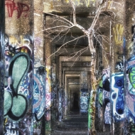 graffiti-476_hdr-edit