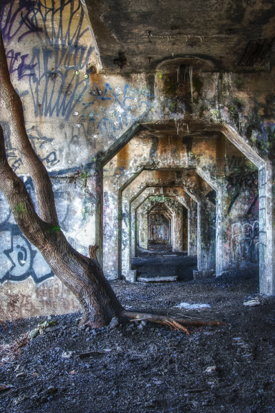 graffiti-236_hdr-edit
