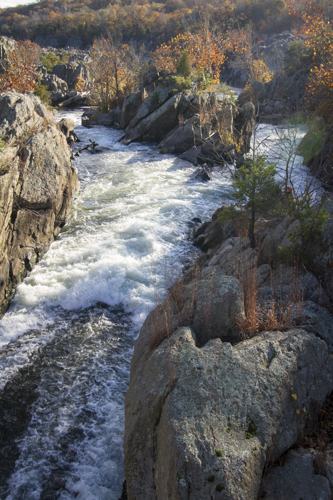 Great Falls-2603