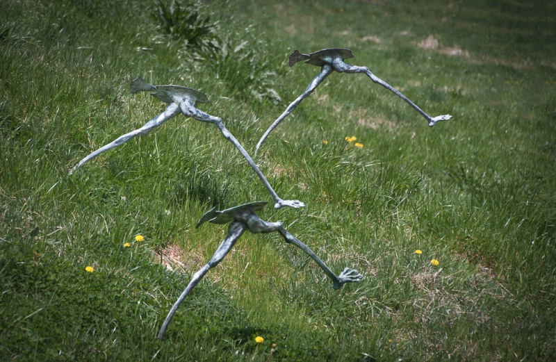 gounds-for-sculpture-8939-edit