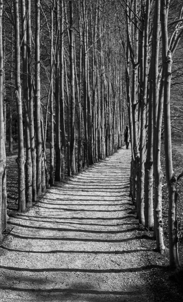 untitled-4690-Edit