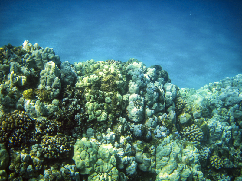 img_1909_edited-1
