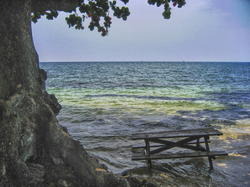 img_9507_4155_hdr