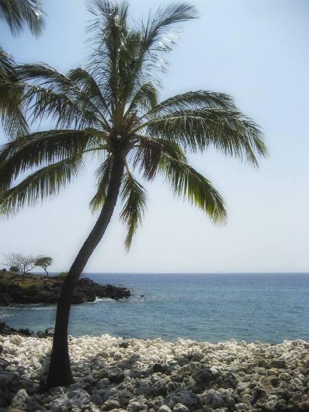 img_9526_4174-edit