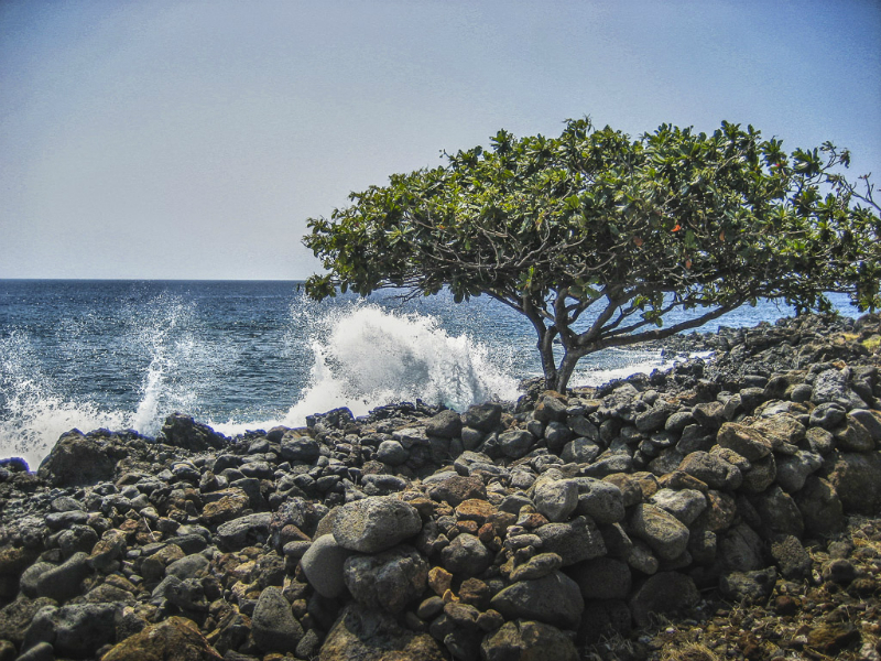 img_9536_4184_hdr