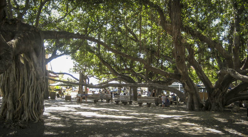 hawaii-15