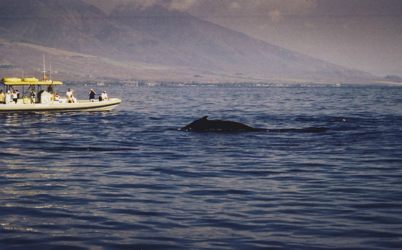 hawaii0003-2