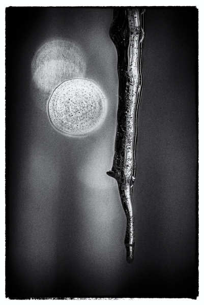 Icicles-06884filmnoir