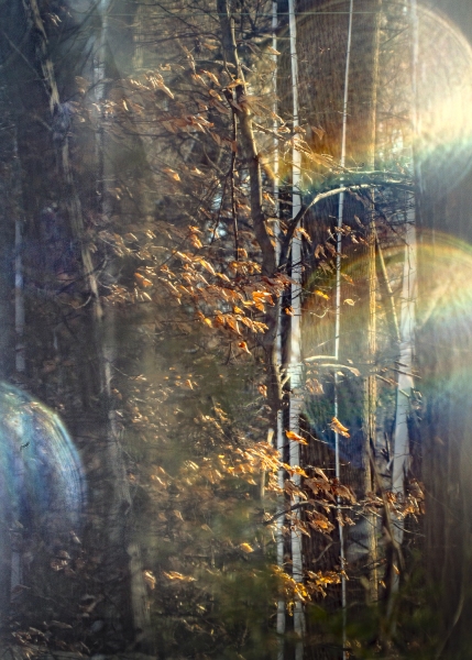 Icicles-06928edit1