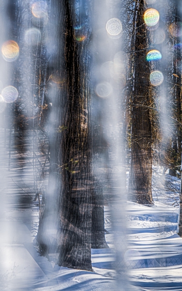 Icicles-06962_HDR