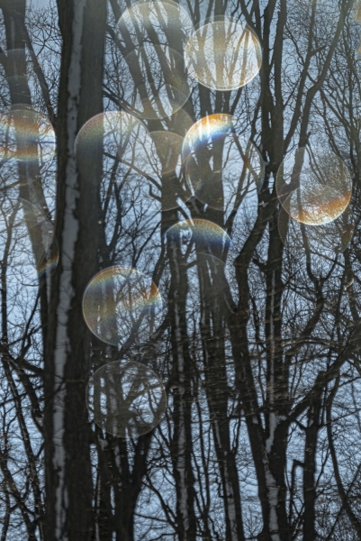 Icicles-8529