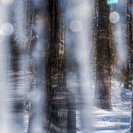 Icicles-06962_HDR