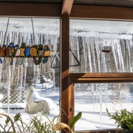 Icicles-07149