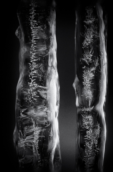 untitled-8636-Editblackwhite