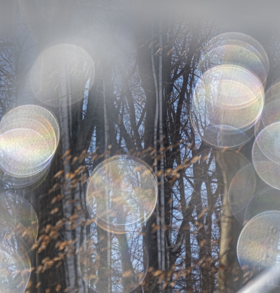 untitled-8808