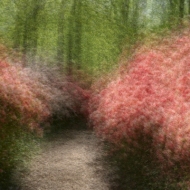 Winterthur-May-2022-12