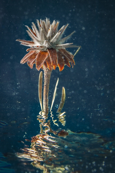 MG_7472-Edit