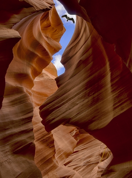 Arizona-4240_HDR-Edit