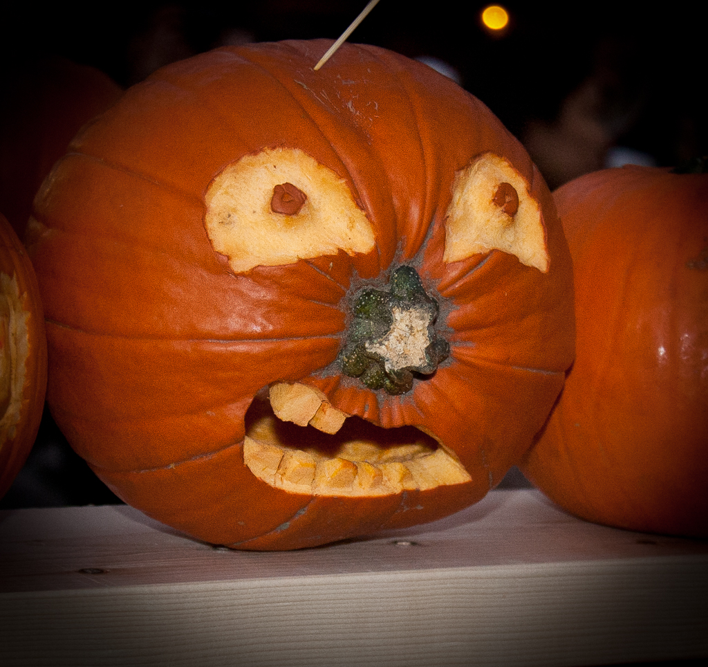 Keene Pumpkin Festival - Capture the MomentCapture the Moment