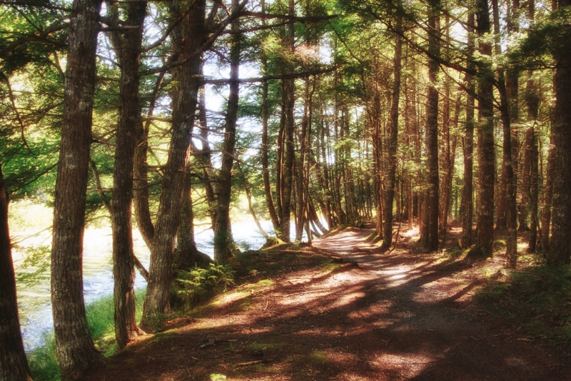nova-scotia-4295_hdr-edit