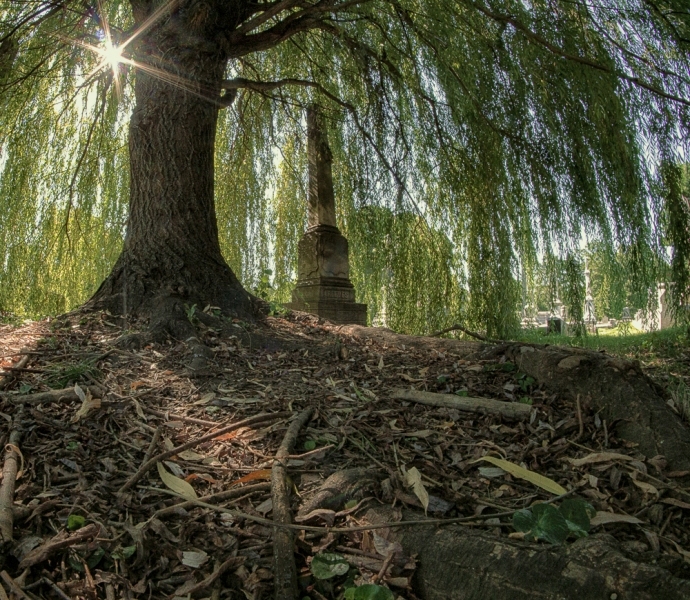 Laurel-Hill-09618_HDR-Edit