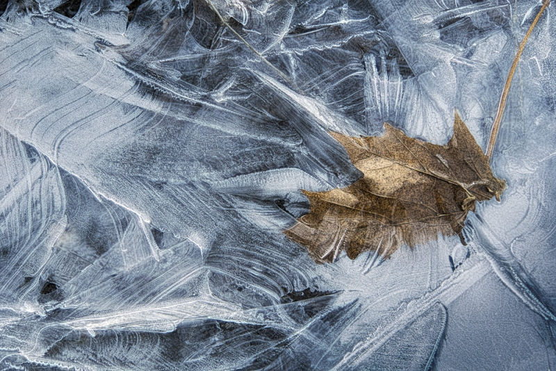 Valley-Forge-ice-5412-Edit