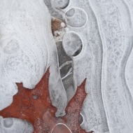 VF-ice-1338