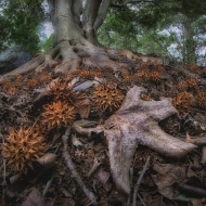 untitled-01442_HDR-Edit