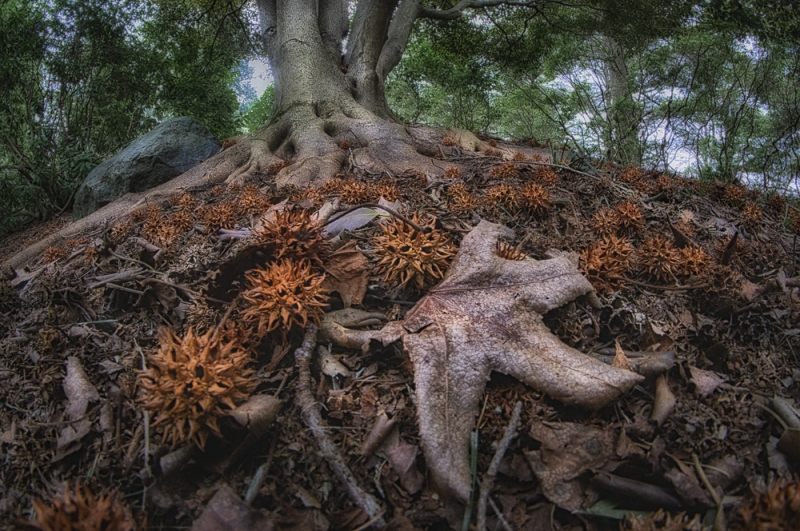 untitled-01442_HDR-Edit
