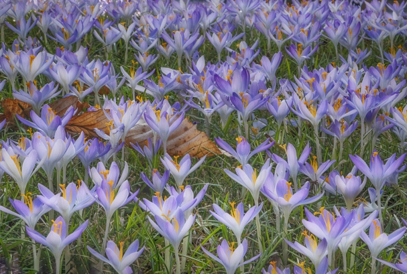 untitled-01791_HDR-Edit2-Edit