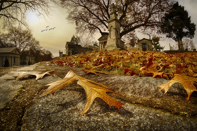 untitled-07716_HDR-Edit-Edit-Edit