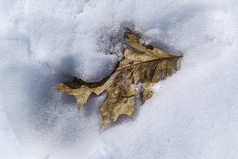 untitled-08673-Edit