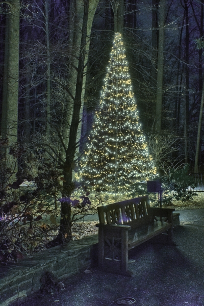 Longwood-3342_HDR-2590