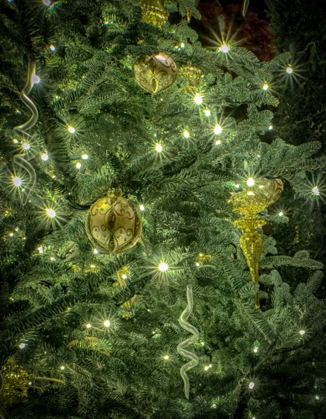 Longwood-3574_HDR