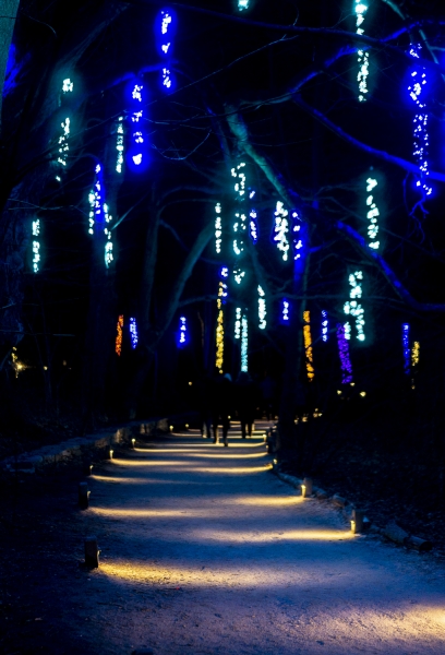 Longwood Gardens-4736