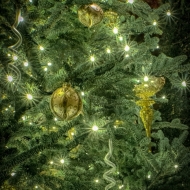 Longwood-3574_HDR