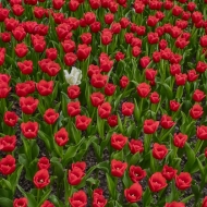 untitled-05042_HDR
