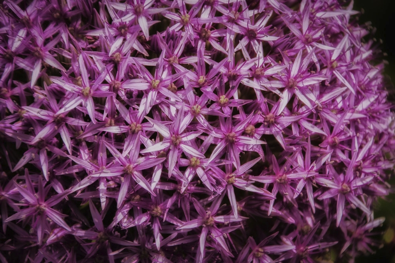 longwood-gardens-0449-edit-edit