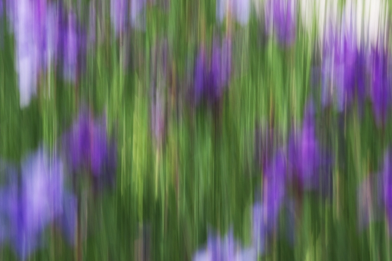 longwood-gardens-0495-edit-edit