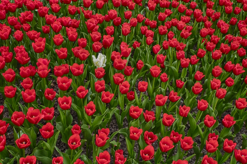 untitled-05042_HDR