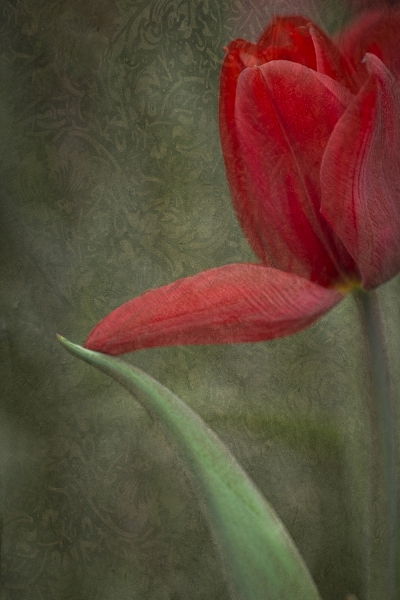 untitled-08685-Edit