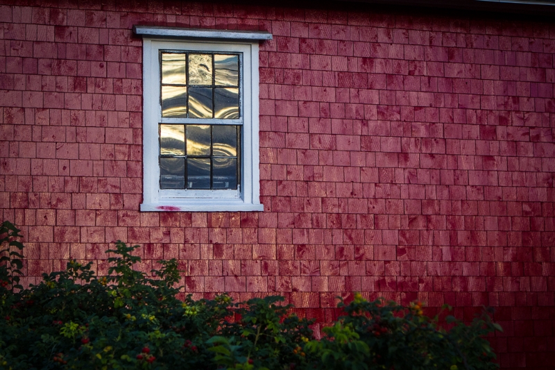 nova-scotia-3904
