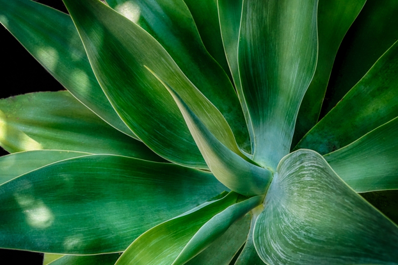 DSC9250_HDR-Edit
