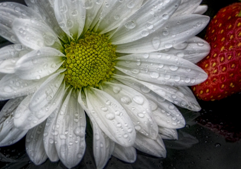 apple-and-flower-4814_HDR-634