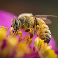 1_untitled-6970-Edit