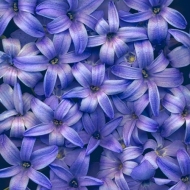 2020-03-31-0010-Edit-Copy