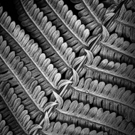 2023-04-23-00012-Edit