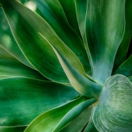 DSC9250_HDR-Edit