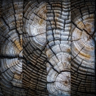 Print-Critique-03595-Edit-2